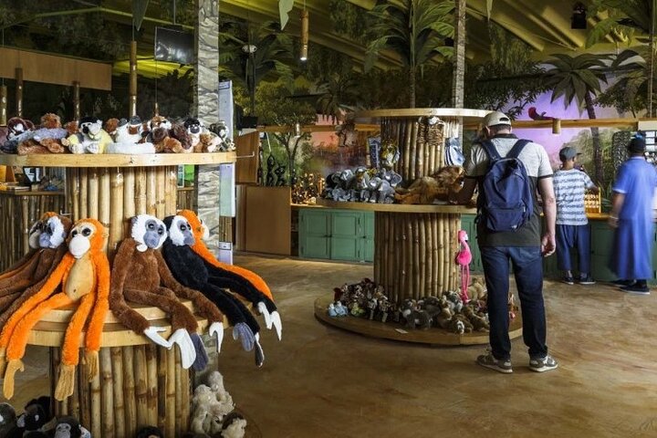  Agadir Crocodile Park Adventure - Image 2