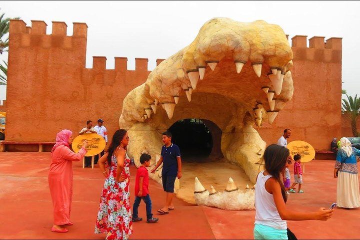 Agadir crocodile Park including transfer and tickets - Image 4