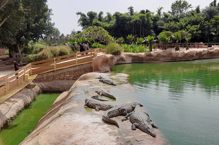 Agadir Crocoparc Tour with local guide - Image 1