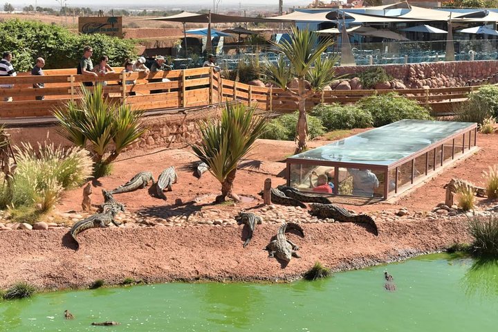 Agadir crocoparc & visite souk lhad agadir ticket included - Image 1