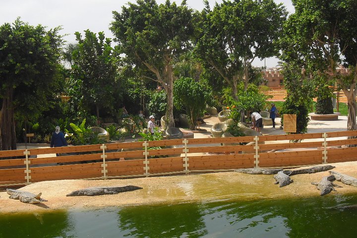Agadir crocoparc & visite souk lhad agadir ticket included - Image 3