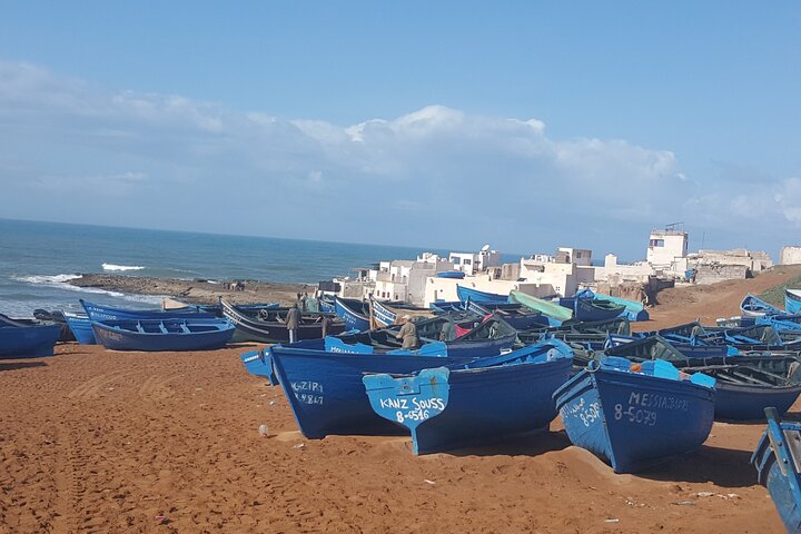 Agadir Day Excursion to Mini Sahara safari National Park Souss Massa by 4x4 - Image 2