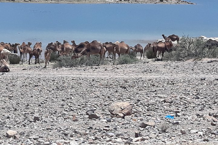 Agadir day Privat excursion toTafraout Anti Atlas Berbere Life - Image 3