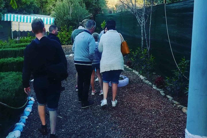 Agadir Day Trip To Paradise Valley  - Image 3