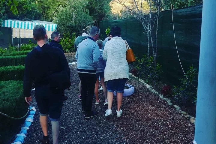 Agadir Day Trip To Paradise Valley  - Image 4