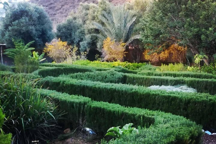 Agadir Day Trip To Paradise Valley  - Image 5