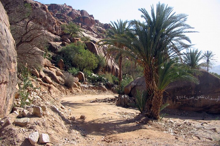 Agadir Day Trip To Tafraoute - Image 5