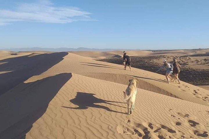 Agadir Desert Trip by Jeep and berber village plus troglodyte 1 day - Image 2