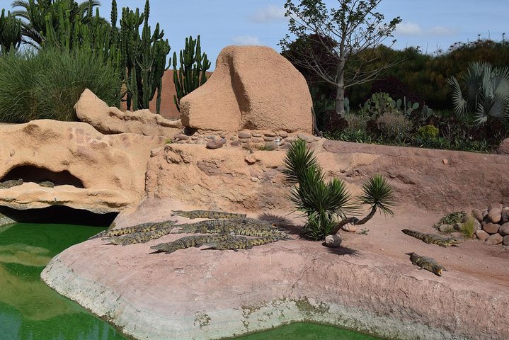 Agadir Magic Crocoparc Ticket & transfer included pick-up & drop-off - Image 4