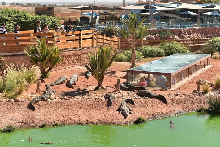 Agadir Magic Crocoparc Ticket & transfer included pick-up & drop-off - Image 5