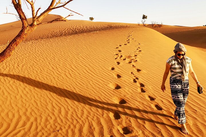 Agadir: Massa Park and Small Sahara Explore - Image 2