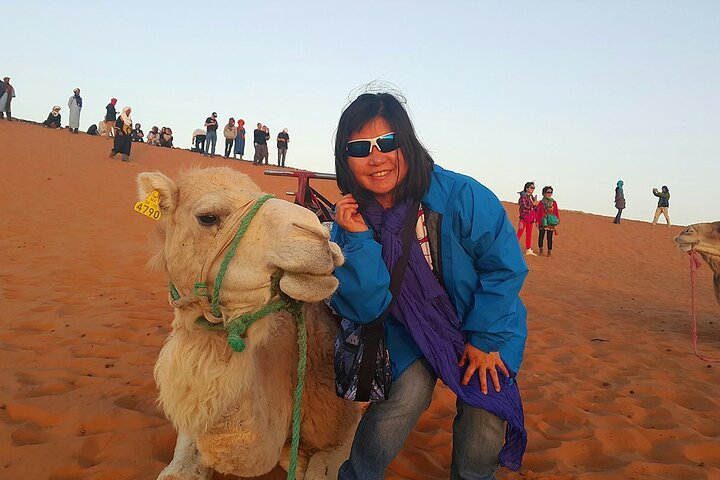 Agadir: Massa Park and Small Sahara Explore - Image 3