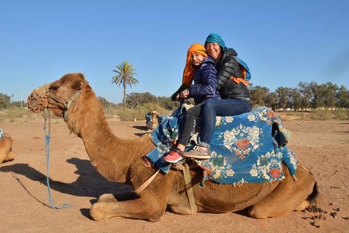 Agadir & Medina City Tour, Crocodile Park & Camel Ride - Image 5