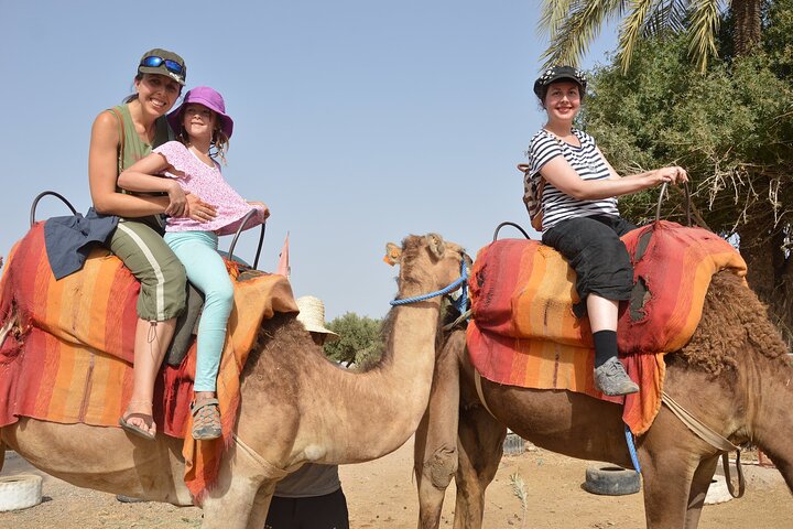 Agadir & Medina City Tour, Crocodile Park & Camel Ride - Image 4