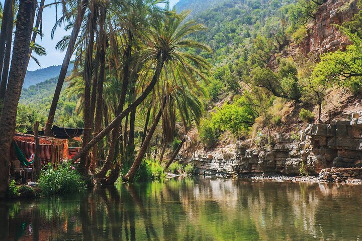 Agadir or Taghazout: Paradise Valley Atlas Mountain Swimming Trip - Image 1