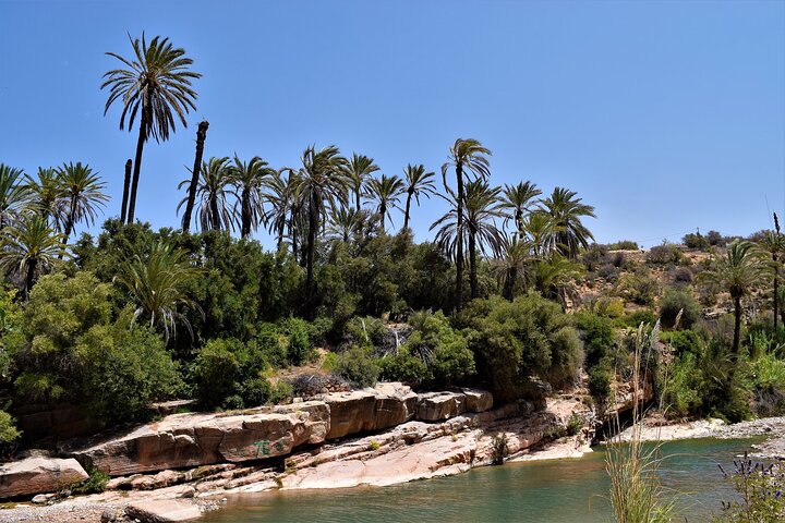 Agadir or Taghazout: Paradise Valley Atlas Mountain Swimming Trip - Image 3