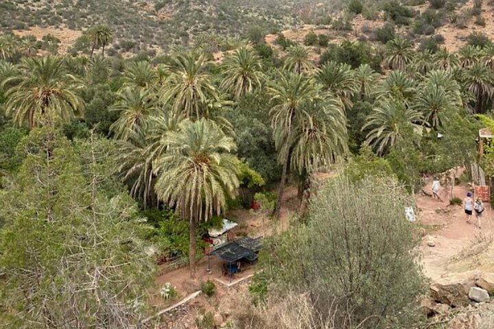 Agadir To Paradise Valley with Delicious lunch - Image 2
