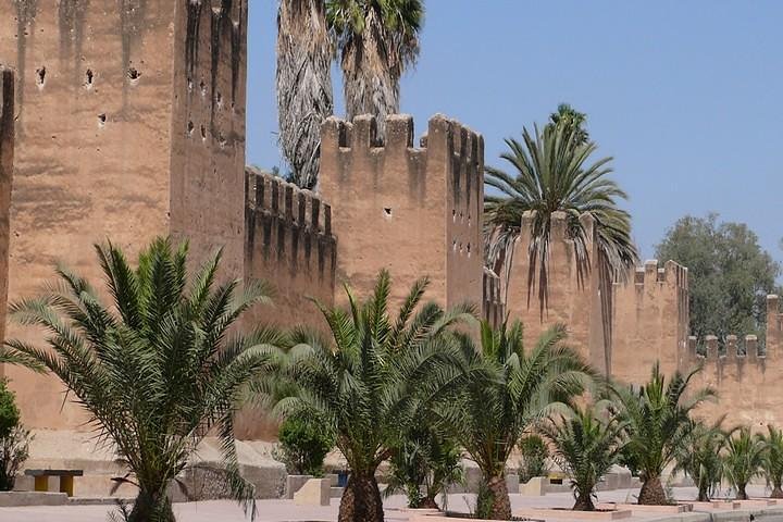 Ali Baba Oasis And The Old Medina Of Taroudant Private Day Tour  - Image 1