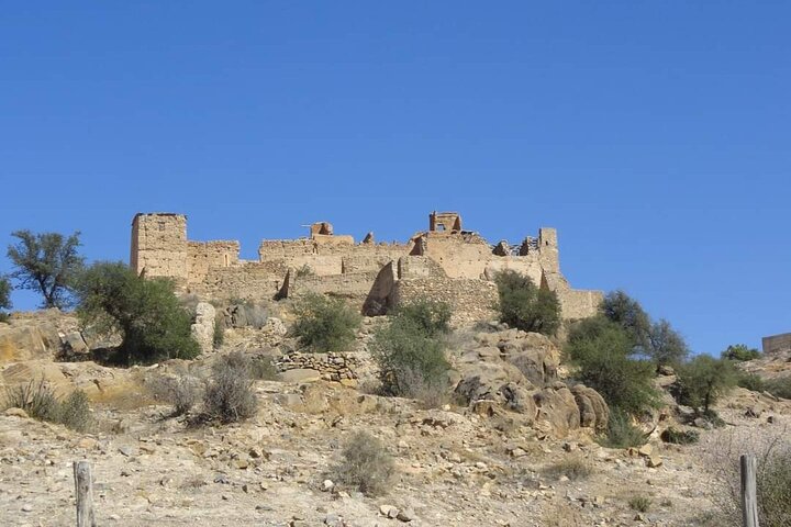 Ali Baba Oasis And The Old Medina Of Taroudant Private Day Tour  - Image 3