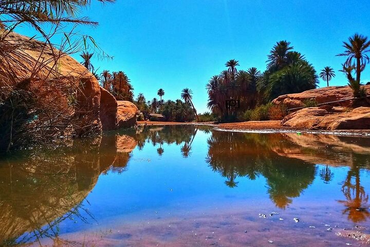 Ali Baba Oasis And The Old Medina Of Taroudant Private Day Tour  - Image 5