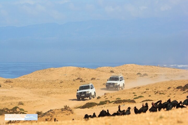 Atlantic Sahara and Ocean 4x4 Jeep Tour with Berber Lunch - Image 5