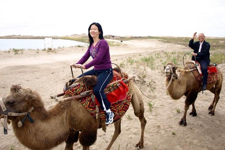 Best Fun and Cheap 2 Hours Camel Experience in Agadir - Image 1