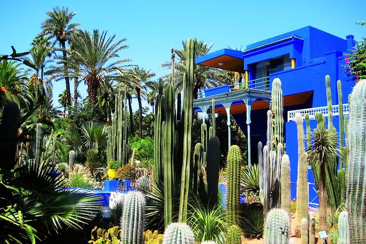 Best of Kech Tour: Majorelle Garden with Camel Ride in the Palms from Marrakech  - Image 2