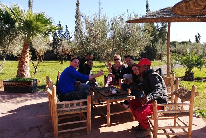 Best of Kech Tour: Majorelle Garden with Camel Ride in the Palms from Marrakech  - Image 3
