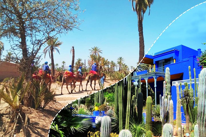 Best of Kech Tour: Majorelle Garden with Camel Ride in the Palms from Marrakech  - Image 1