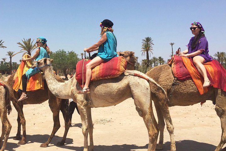 Best of Kech Tour: Majorelle Garden with Camel Ride in the Palms from Marrakech  - Image 5