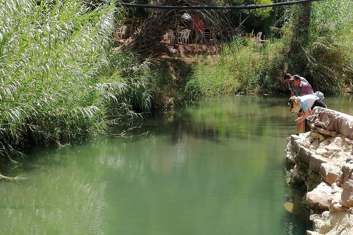 Best Trip : half day to Paradise Valley from Agadir - Image 1