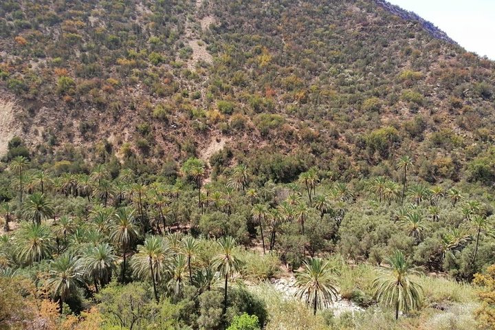 Best Trip : half day to Paradise Valley from Agadir - Image 4