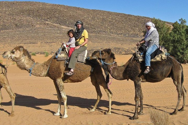 Camel ride - Image 1
