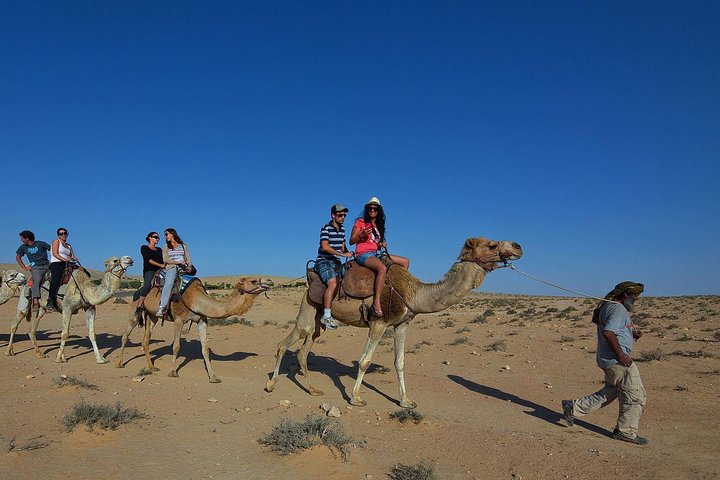 Camel ride - Image 3