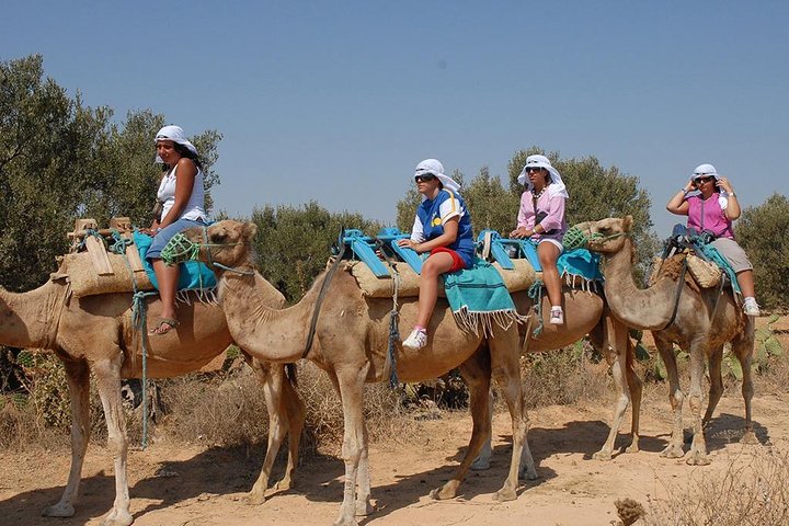 Camel ride - Image 2