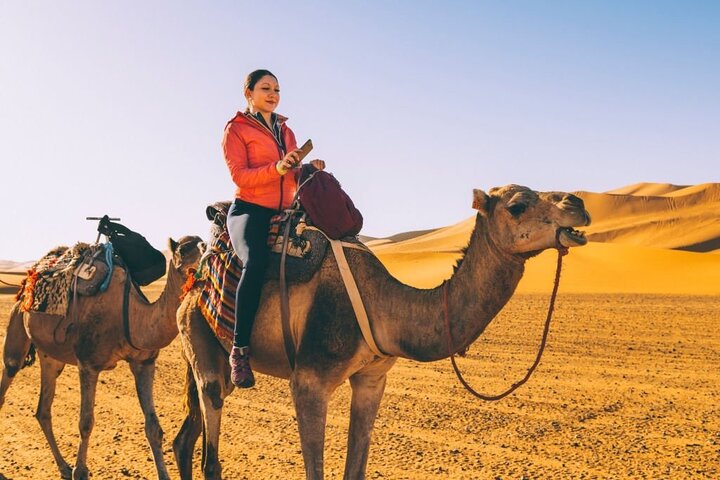 Camel ride in Agadir with hotel pick up and drop off - Image 4