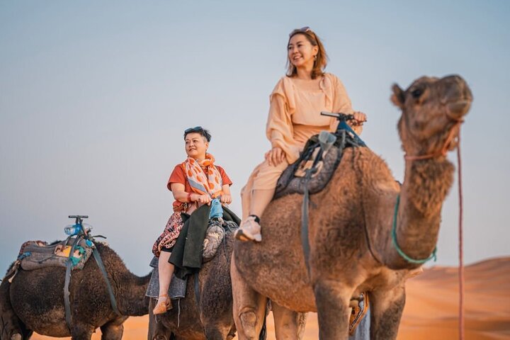 Camel ride in Agadir with hotel pick up and drop off - Image 3