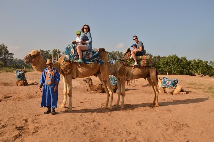 Camel ride in Agadir with hotel pick up and drop off - Image 2