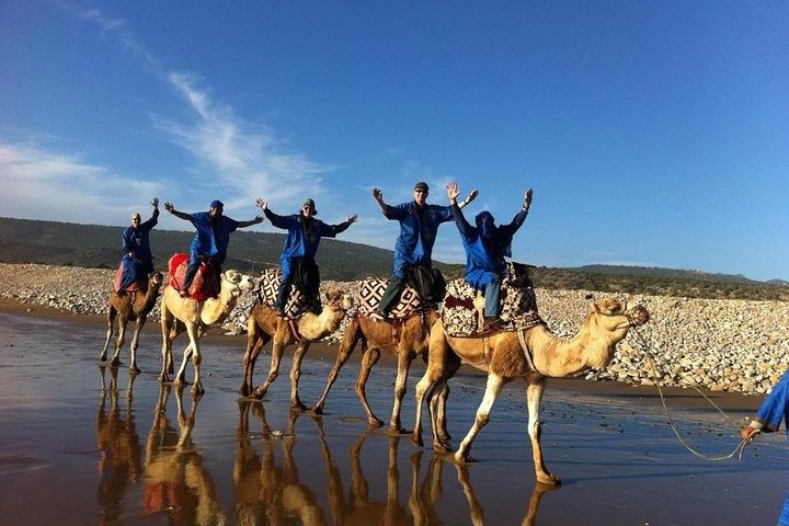 Camel Riding Agadir - Image 3