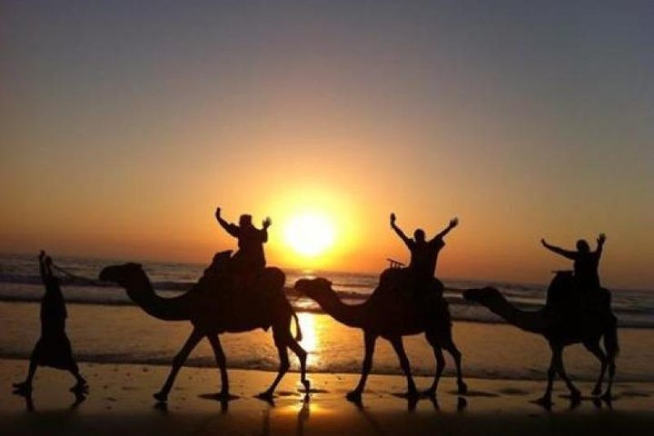 Camel Riding Agadir - Image 2