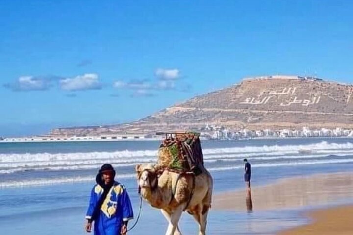 Camel Riding Agadir - Image 5