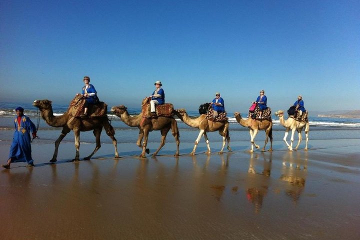 Camel Riding In Agadir  - Image 1