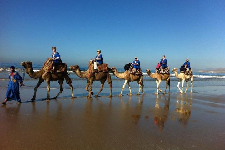 Camel Riding In Agadir  - Image 3