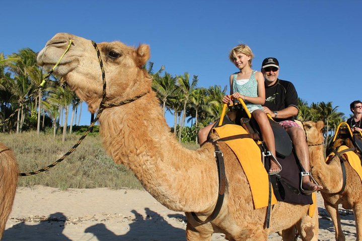 Camel Riding In Agadir  - Image 2