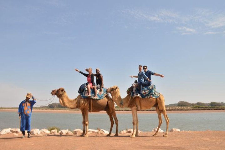 Camel riding in Agadir for Cruise ship Passengers - Image 5