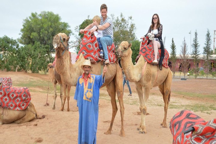 Camel riding in Agadir for Cruise ship Passengers - Image 1