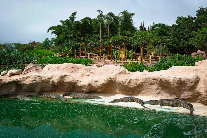 CrocoPark Visit (Transport included) - Image 1