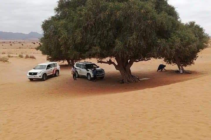  Day tours to Mini Sahara Desert + Massa Tiznit - Image 1