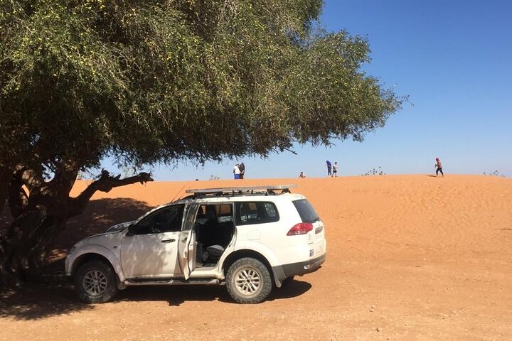 Day trip from Agadir to Massa in 4X4 - Image 1