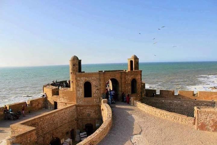  Day trip to Essaouira ( portugal city ) from agadir  - Image 4